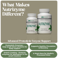 American Nutriceuticals Nutrizyme capsules ready for enzyme-based daily circulation support.