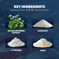 AMERICAN VITALITY Brain Formula ingredients bacopa monnieri label for recall support