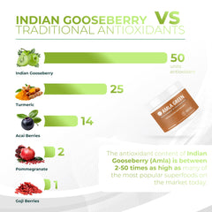 Amla Green 20x standardization label signals consistent potency across bottles.