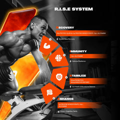 AMPOWER ingredient blend graphic showcases protein, BCAA, creatine, and glutamine