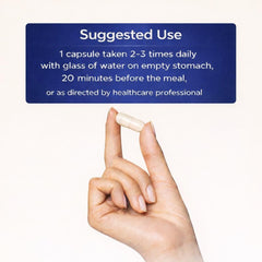 AMVILAB Proteolytic Enzymes 3X label closeup highlighting multi-enzyme blend