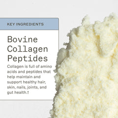 Amy Myers MD Collagen Protein Powder stirred in a glass for a collagen-rich beverage
