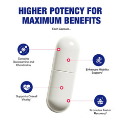 Anabolic Nutra Disc cGMP-compliant facility seal