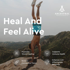 Ancestral Supplements capsules closeup highlighting 180-count daily wellness