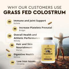 Dense-nutrition capsules from Ancestral Supplements hint at daily energy support.