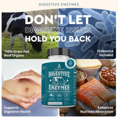 Ancestral Supplements Grass-Fed Organs image highlights natural nutrients from key organs.