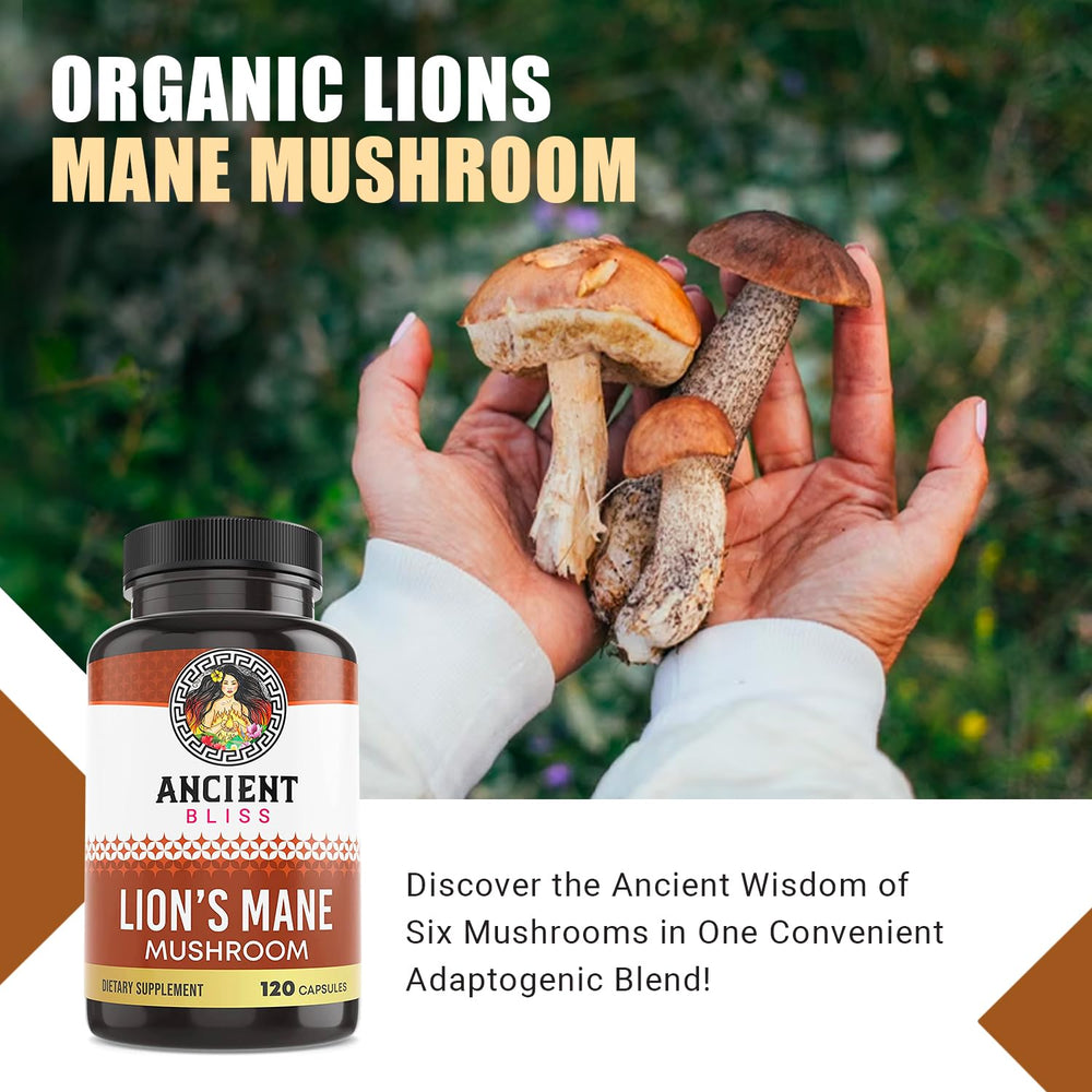 Ingredient panel shows Lion's Mane among six mushrooms for comprehensive wellness