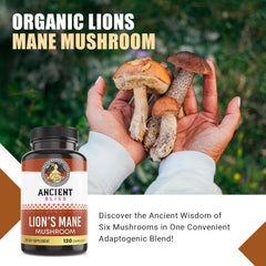 Ingredient panel shows Lion's Mane among six mushrooms for comprehensive wellness