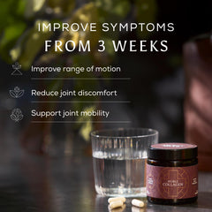 Ancient + Brave Noble Collagen ingredients graphic features Type II collagen.