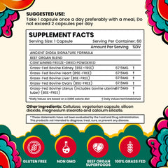 ANCIENT DIOSA capsules on white background ready for daily hormone-supporting routine
