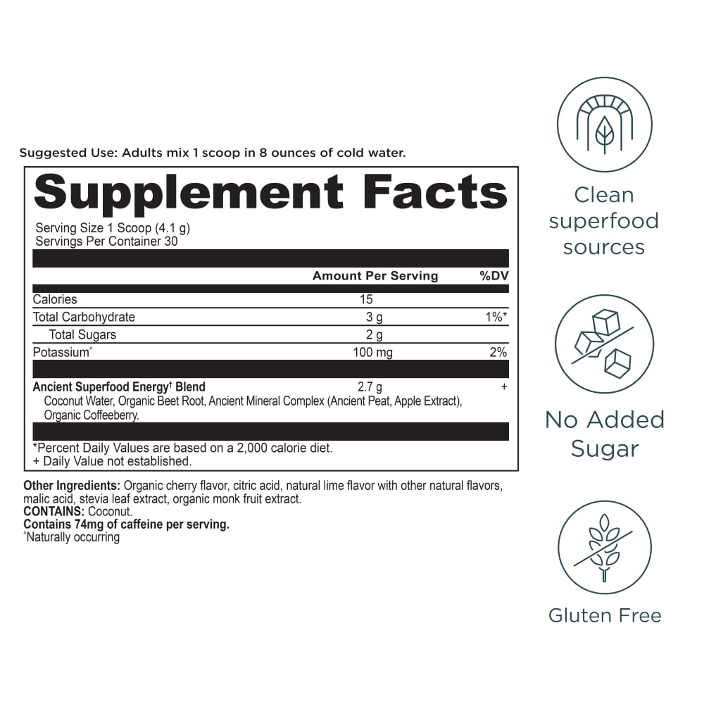 Ancient Nutrition Clean Energy Powder daily-use scoop for steady energy