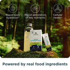 Ancient Nutrition coconut water electrolyte ingredients close-up for natural hydration.