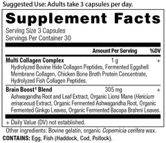 Ancient Nutrition Collagen Brain Boost capsules pack shown for joint comfort and mobility.