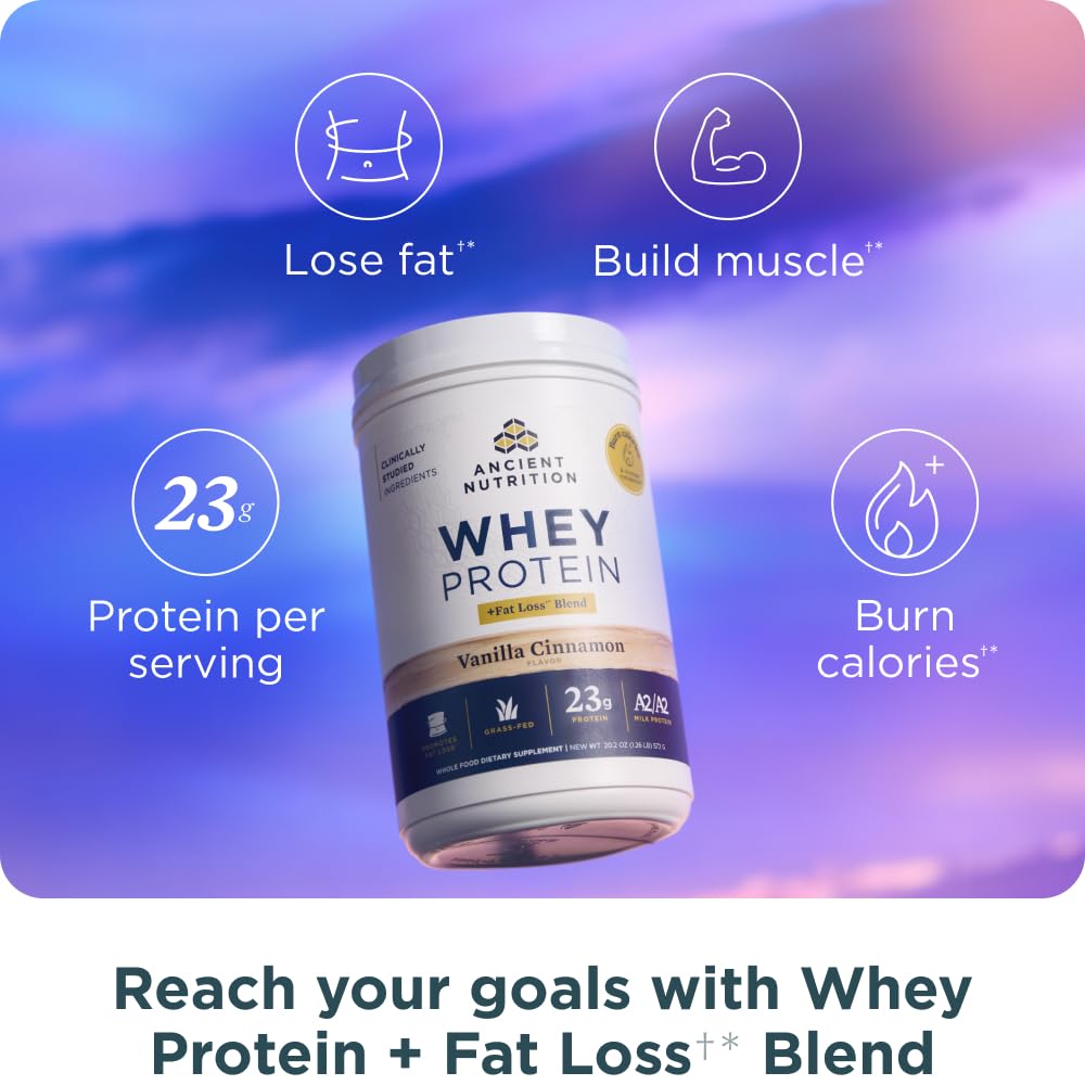 Ancient Nutrition Fat-Loss Blend Cinnamon Ashwagandha scoop highlighting metabolism-boosting potential