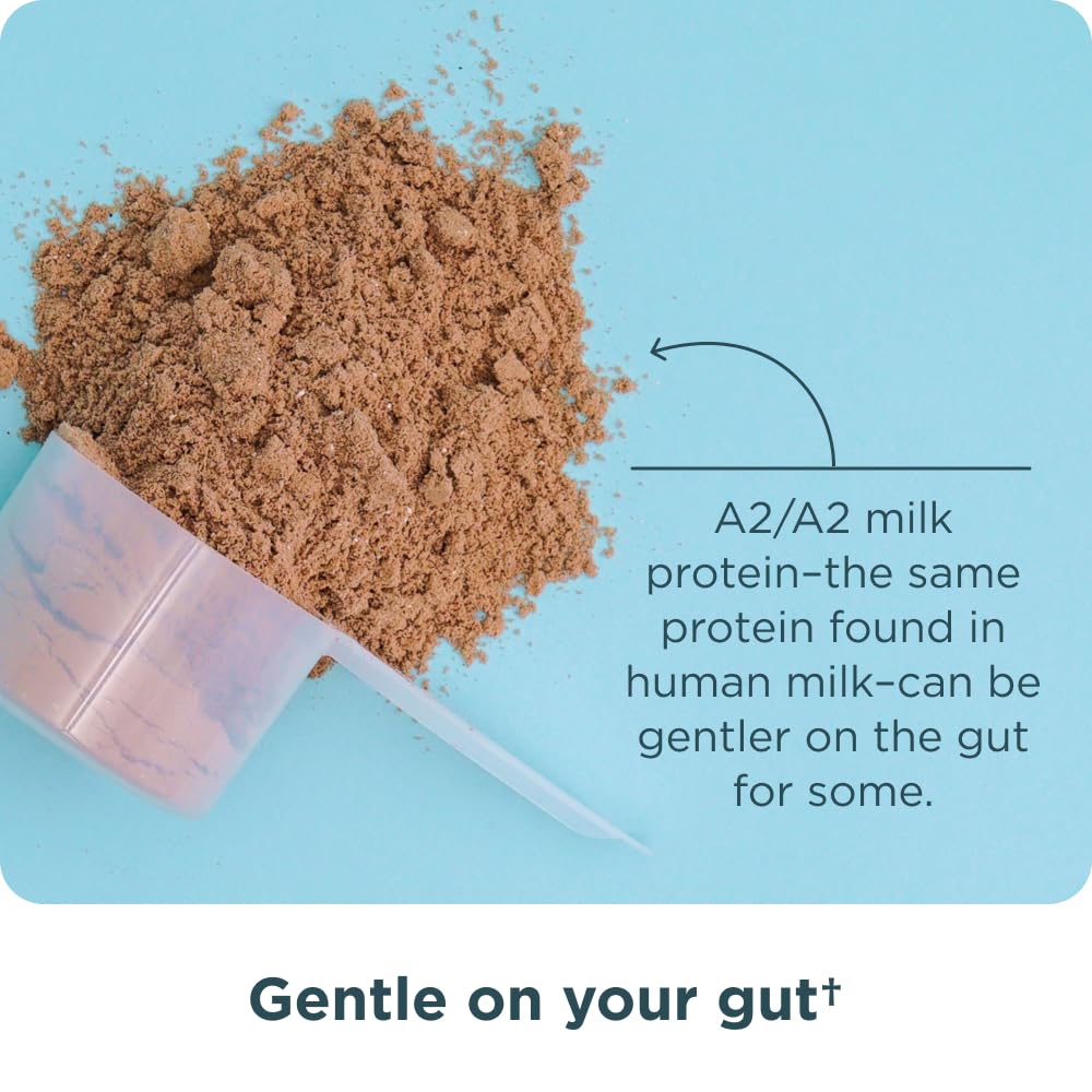 Ancient Nutrition ingredients close-up showing grass-fed whey and collagen