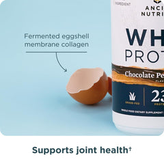 Ancient Nutrition product label and packaging highlighting A2/A2 milk protein