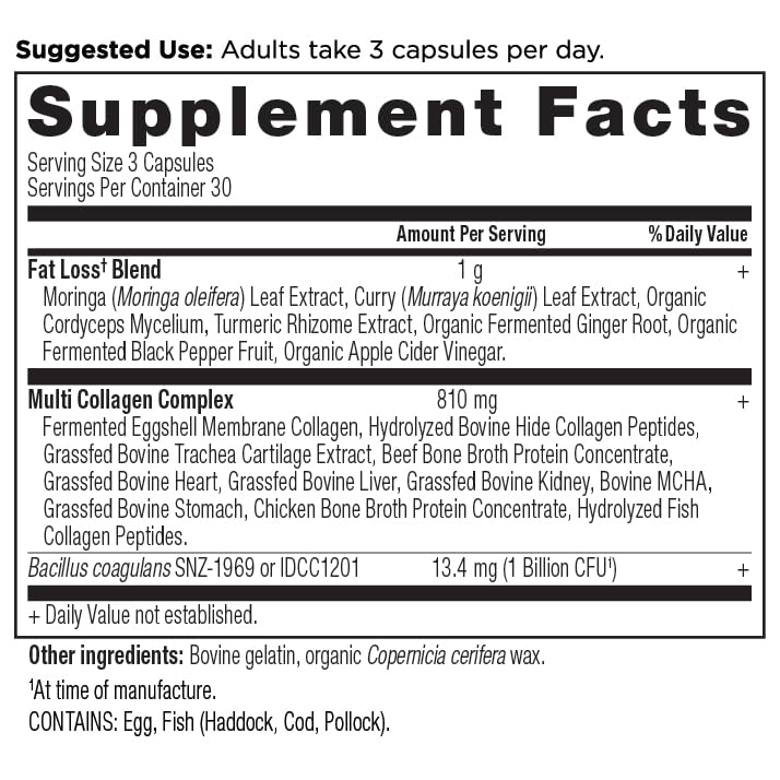 Ancient Nutrition Multi Collagen Advanced Lean vanilla scoop shows easy mixing into shakes.