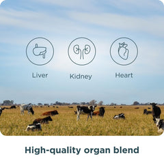 Ancient Nutrition Organ Complex packaging conveying heritage and trusted organ wellness.