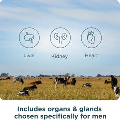 Ancient Nutrition Organs prostate, liver, and pancreas support visuals.