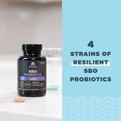 Ancient Nutrition probioticos, arandano: arándano natural para bienestar femenino