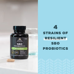 Ancient Nutrition Probiotics bottle on kitchen counter ready for daily routine