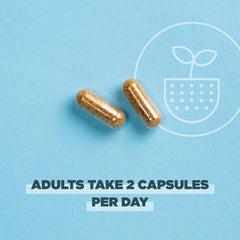 Ancient Nutrition probiotics bottle on kitchen counter, ready for your daily routine.