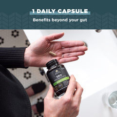 Probiotics mental clarity capsules stacked on a shelf for daily use