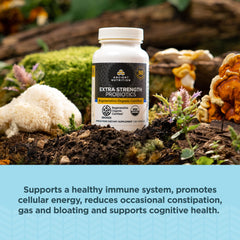 Ancient Nutrition probiotics label on bottle highlighting ingredients and serving details.