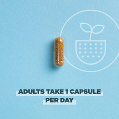 Eco-friendly packaging of Ancient Nutrition probiotics for sustainability.