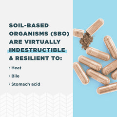 Ancient Nutrition SBO Probiotics Men label showcasing product details and certifications.