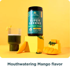 Ancient Nutrition SuperGreens digestive health blend supports gut-friendly daily routines.
