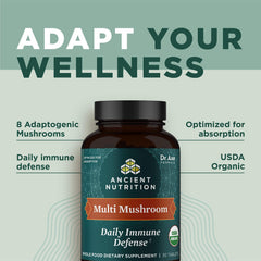 Ancient Nutrition turkey tail and maitake blend image for immune-support curiosity