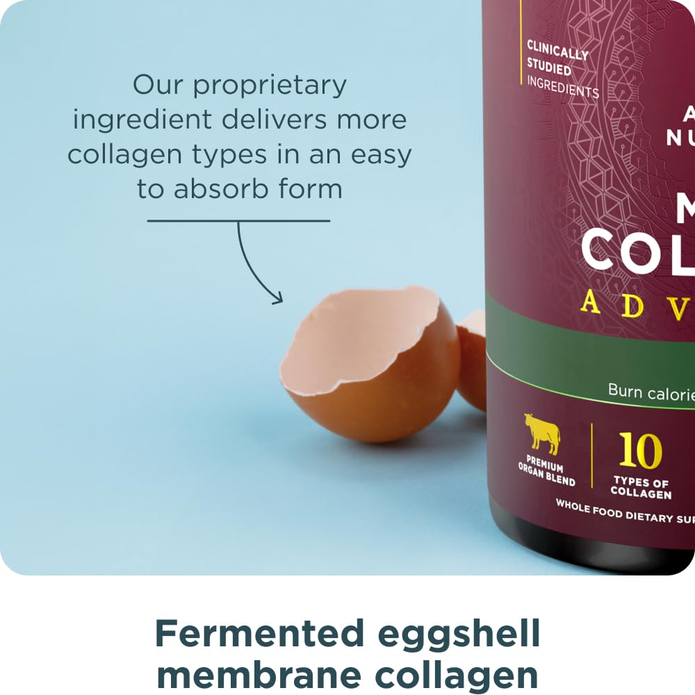 Ancient Nutrition product serving beside a workout implies muscle and weight management.