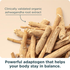 Ancient Nutrition Women's 50+ multivitamin on kitchen counter for daily use