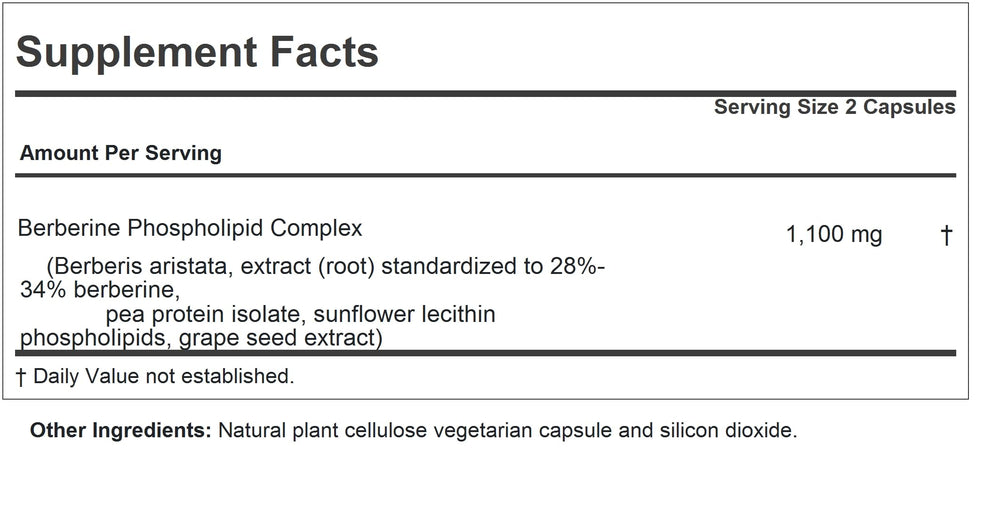 Andrew Lessman Berberine Phospholipid Complex capsules closeup highlighting easy-to-swallow design for daily support.
