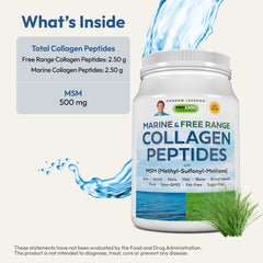 Andrew Lessman MSM 500mg bottle illustrating supplementary tissues support.