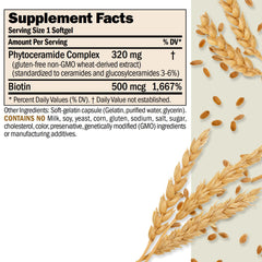 ANDREW LESSMAN Phytoceramides softgels close-up highlights easy-to-swallow daily capsules.