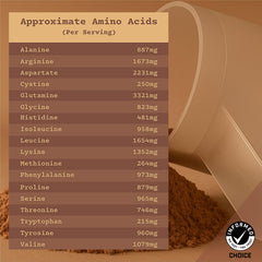 Anea Plant Protein Chocolate label highlights GMP facility and quality tests.