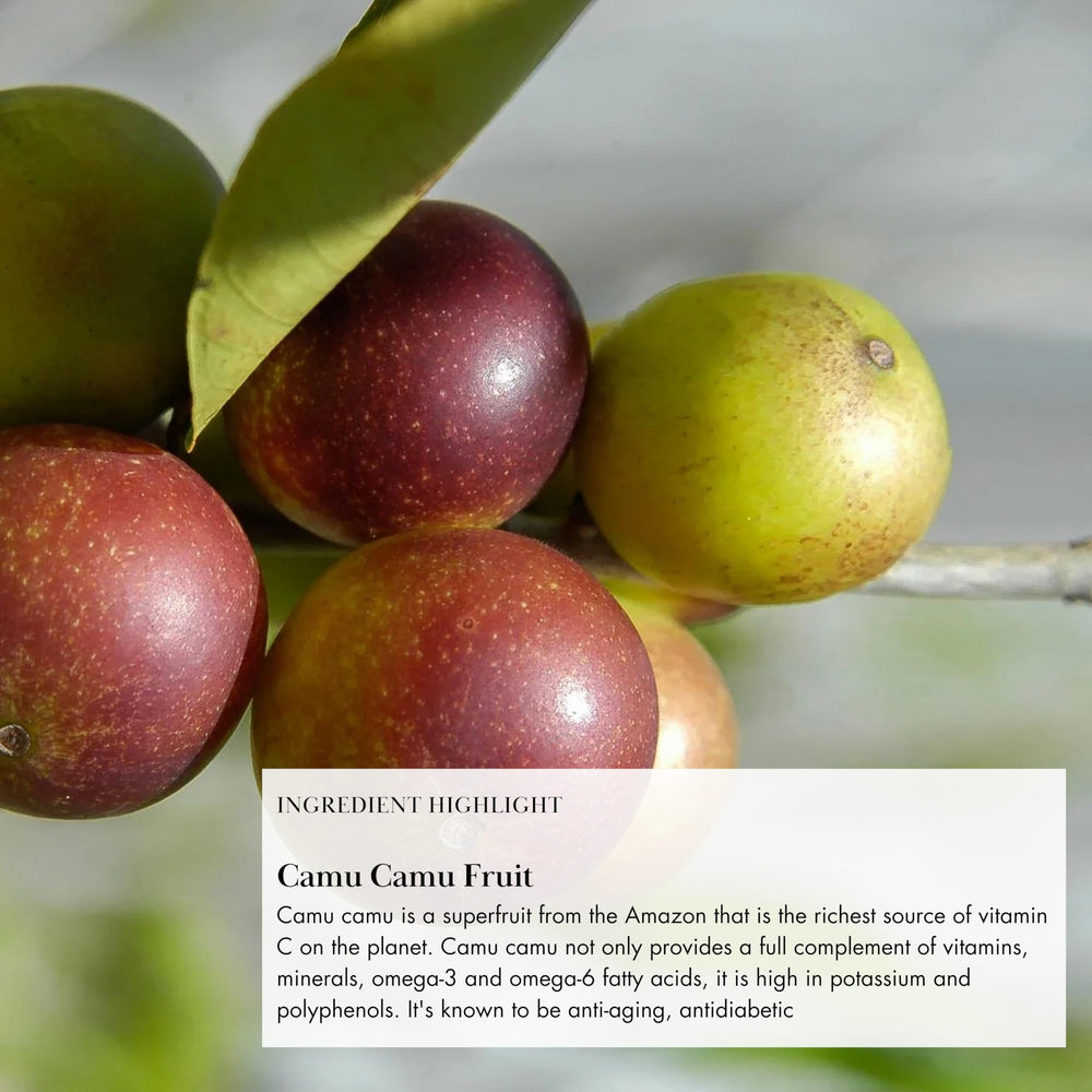 Anima Mundi Apothecary Superfruit Bliss herbal close-up shows adaptogens for beauty potential.