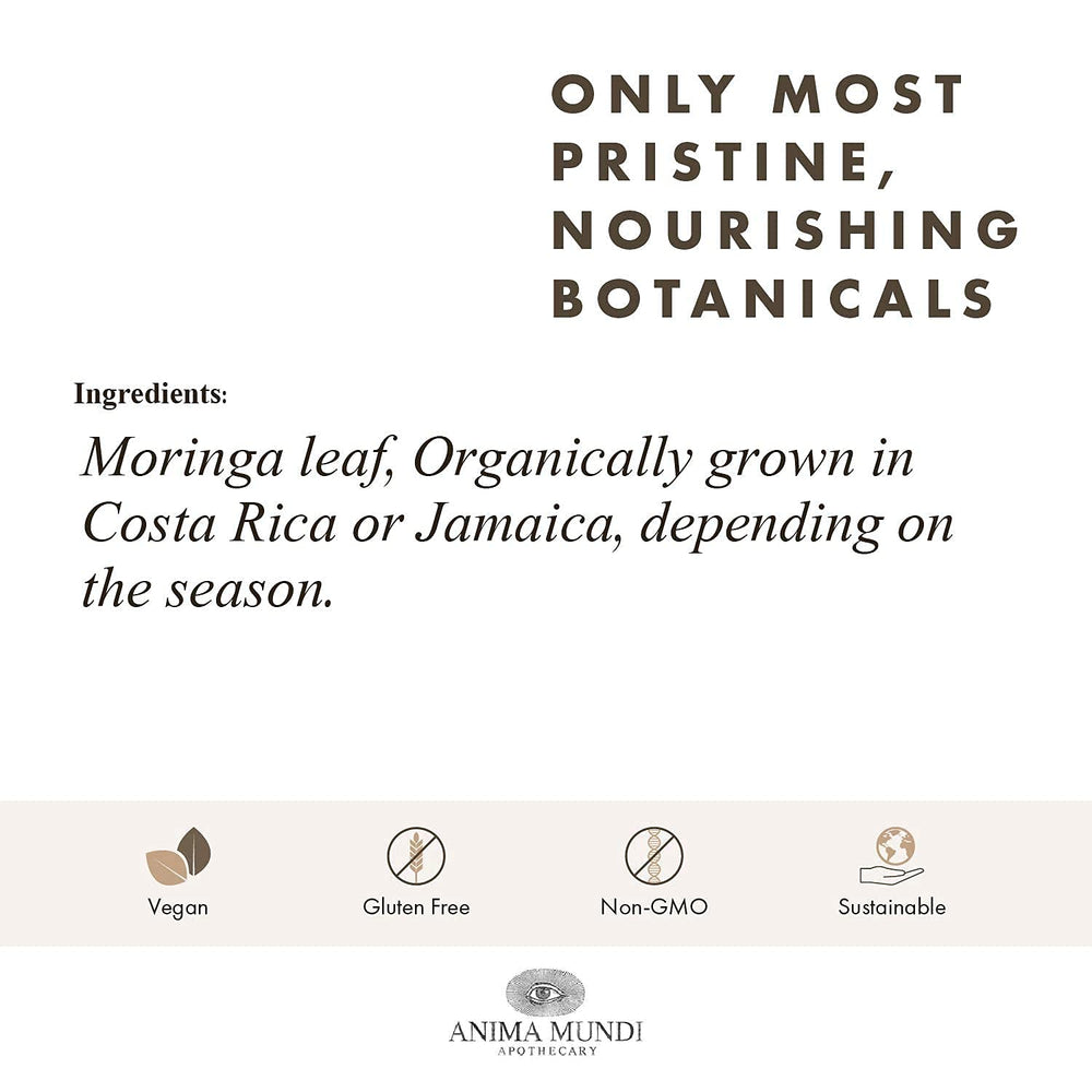 Measuring spoon adding moringa powder to tea for an easy daily ritual