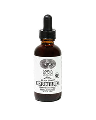 Anima Mundi Cerebrum brain tonic bottle shown for daytime focus support.