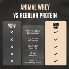 Animal 100% Whey strawberry recovery setup with gym bag ideal for training days.