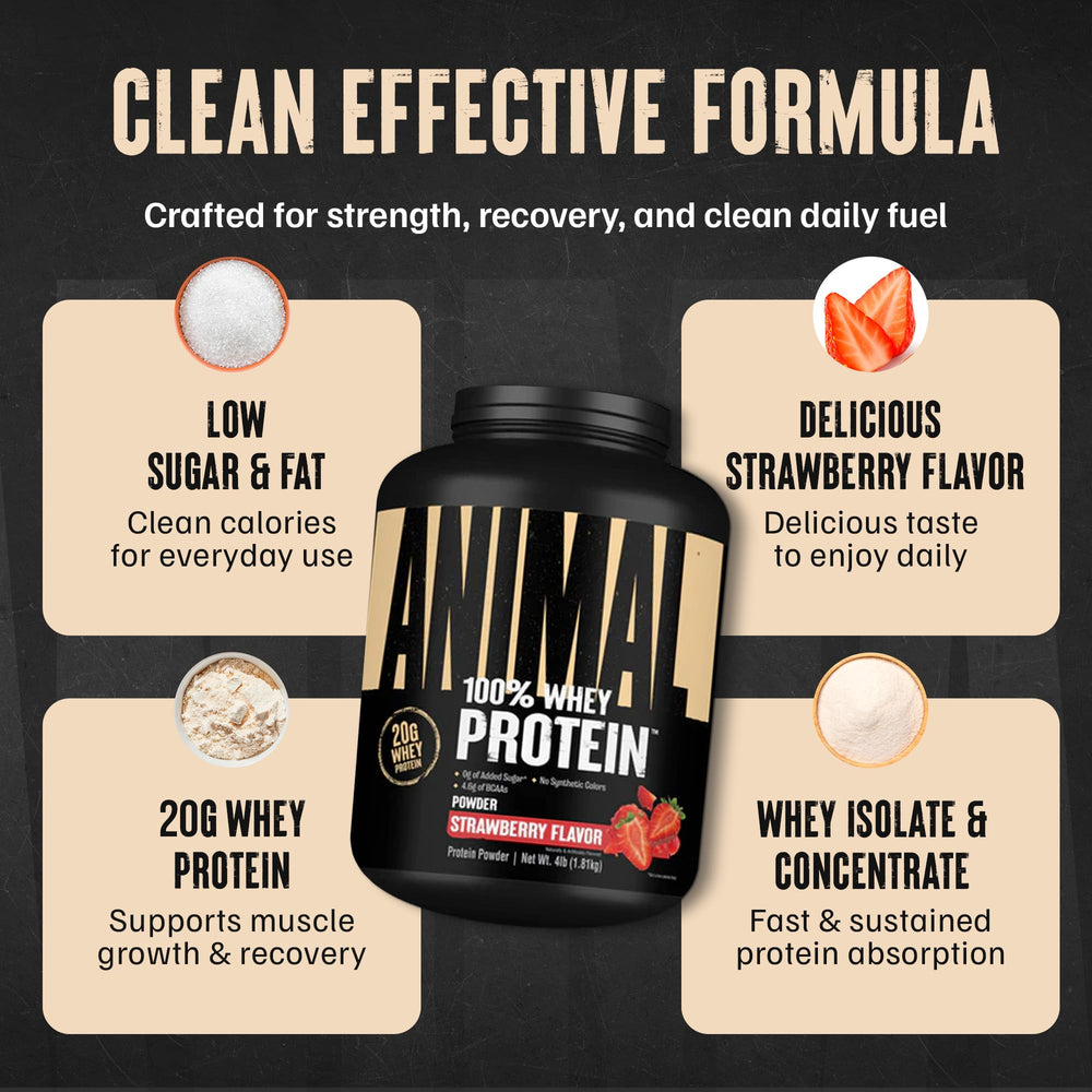 Animal 100% Whey strawberry powder being mixed in water for on-the-go protein boost.