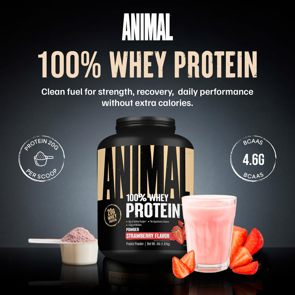 Animal 100% Whey strawberry protein scoop ready to mix for post-workout recovery.
