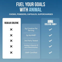 Animal Creatine HMB Powder amber bottle signals premium daily energy support.