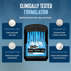 Animal Creatine HMB Powder label closeup highlights electrolytes and vitamin D.