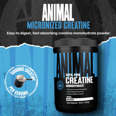 Close-up of Animal Creatine Monohydrate powder bottle showing purity