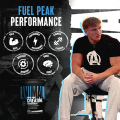 Animal Creatine Monohydrate powder being mixed in a glass shaker after workouts.