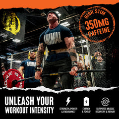 BCAA amino acids in Animal Fury aiding recovery and training consistency.