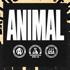 Animal Meal athlete-recovery-scene suggesting post-workout nourishment.